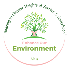 Enhance Our Environment